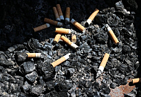 Zigarettenkippen liegen auf dem Boden. Foto: Pixabay